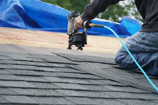 Best Rubber Roofing (EPDM, TPO)  in Lula, GA