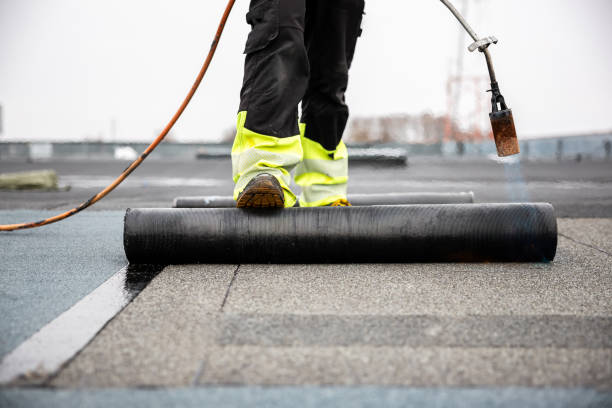 Best Skylight Installation and Repair  in Lula, GA