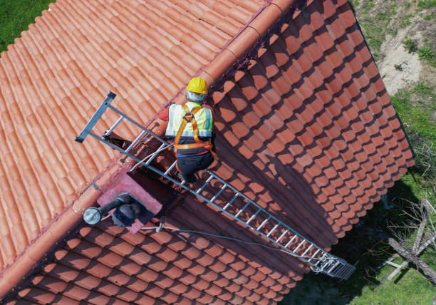 Best Steel Roofing  in Lula, GA