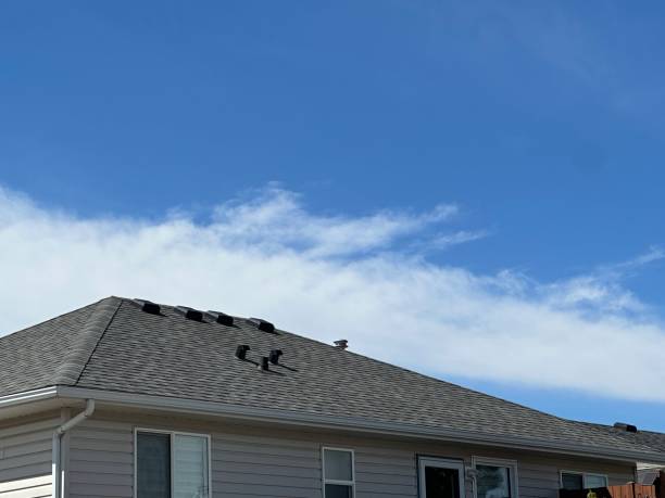 Best Gutter Installation and Repair  in Lula, GA